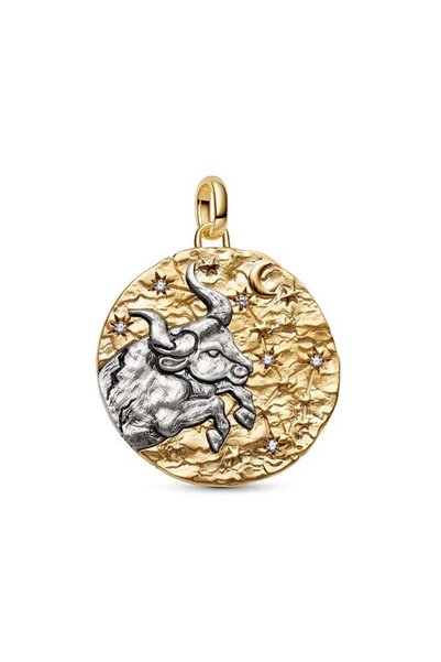 Taurus Large Size Medallion Charm