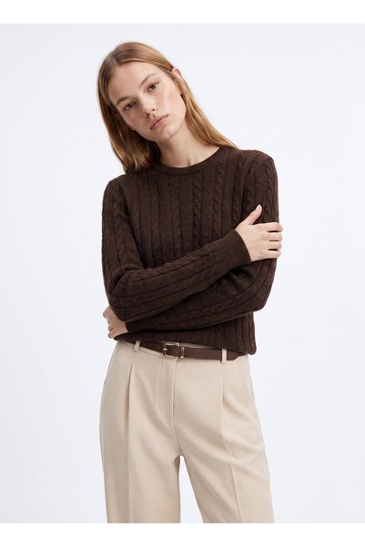 Brown Women's Crew Neck Knitwear Sweater F5Wl-Kzk0255