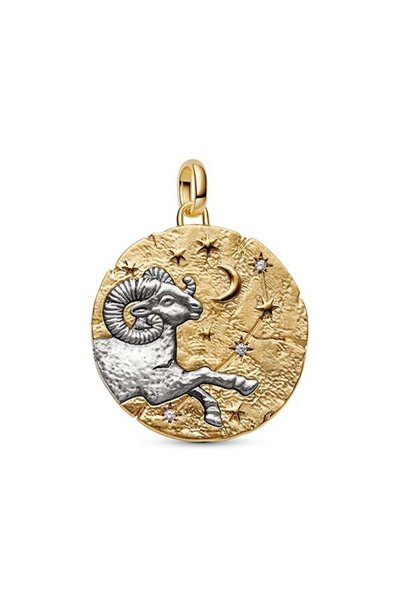 Aquarius Zodiac Large Medallion Charm
