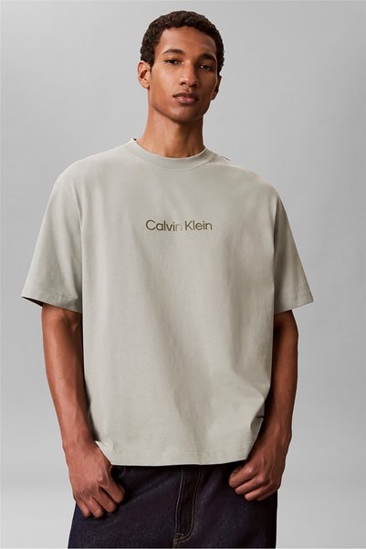 Ss Rlxd 16S Std Logo Crewnk Tee Men's Crew Neck T-Shirt Beige