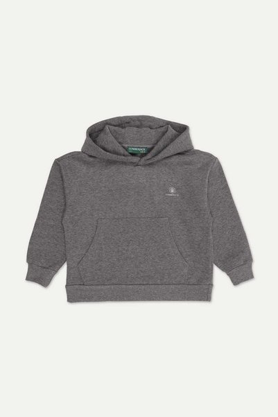 Boy's Sweatshirt 16Tpt22