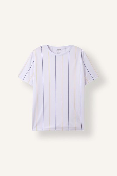 Standard Fit Crew Neck Short Sleeve Striped T-Shirt I8367Ax26Au