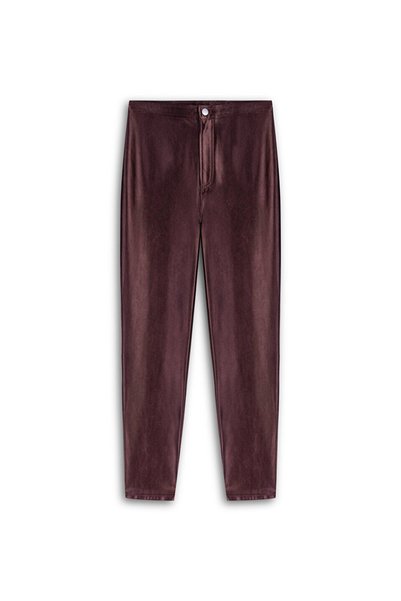 Shiny Surface Pants