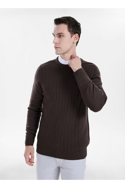Brown Men's Crew Neck Jacquard Sweater Ace045271187