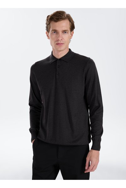 Anthracite Men's Polo Standard Sweater Ace043271002