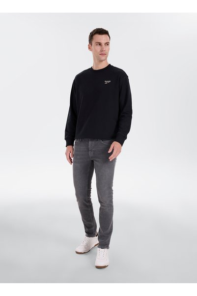 Gray Men's Denim Trousers 271 Lcm 121011 Jagger Easter Grey
