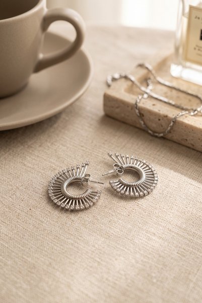 Women's Zircon Stone Fan Model Earrings