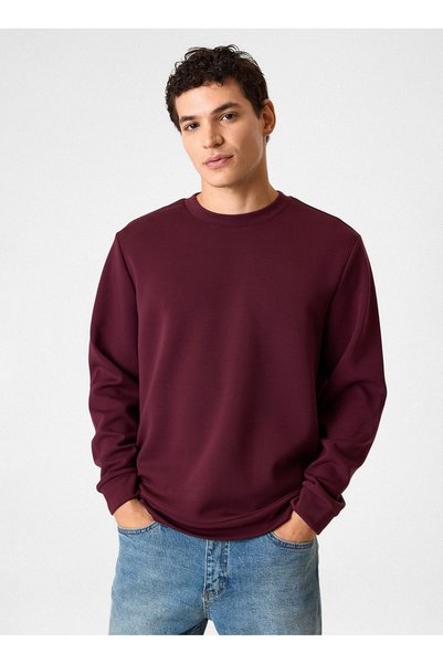 Burgundy Men's Sweatshirt Bsw1205200000