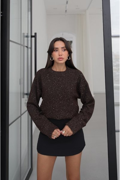 Brown Crew Neck Sequin Sweater