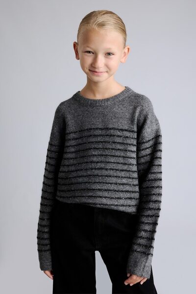 Crew Neck Striped Glittery Knitwear Sweater for Girls H7386A826Wn
