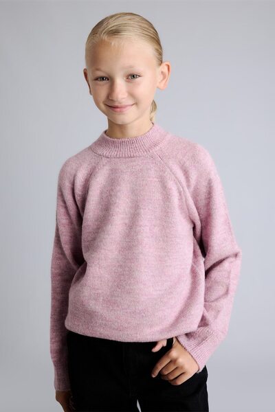 Reglan Sleeve Crew Neck Knitwear Basic Sweater Girls H8406A826Au
