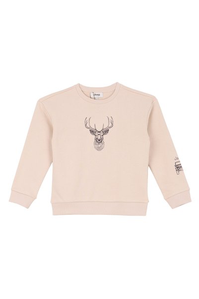 Ecru Boys' Embroidered Sweatshirt J6Wb-Swt7733