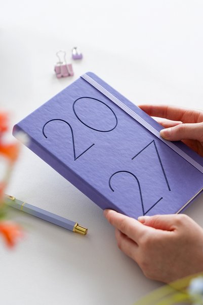 2027 Year 13X21 cm Daily Agenda Lilac