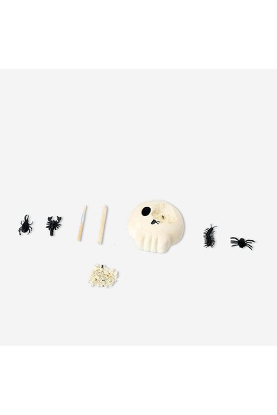 Skull Excavation Kit