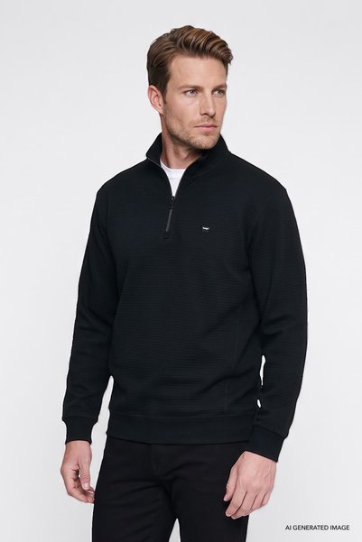 Soft Textured Regular Fit Zippered Stand Collar Sweatshirt
