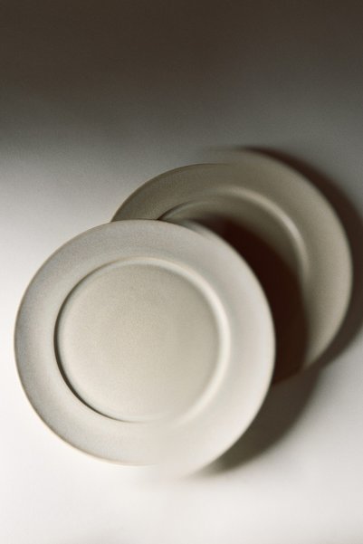 Set of 2 Stoneware Dinner Plates