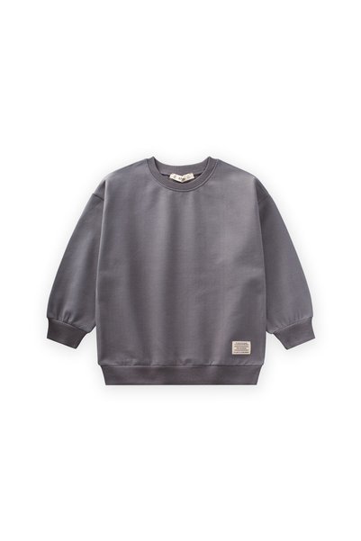 Sweatshirt 2-12 Years Gray