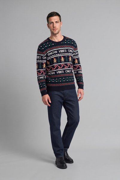 New Year's Themed Standard Fit Crew Neck Patterned Knitwear Sweater I4953Ax26Wn