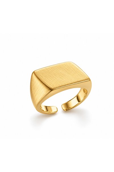 Steel Pinky Ring (Adjustable)