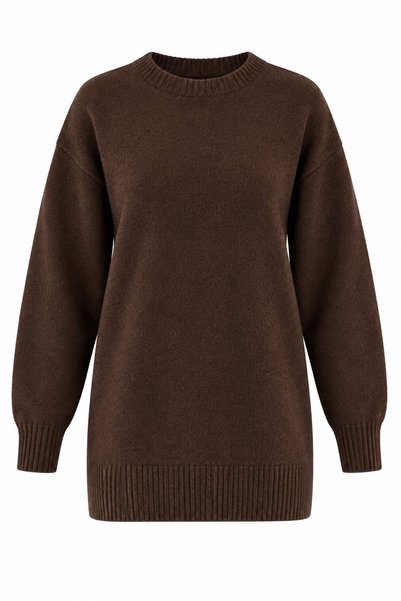 Brown Basic Knit Sweater - 2Y04595