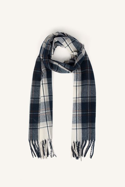 Men's Plaid Patterned Tassel Scarf I4677Ax26Wn