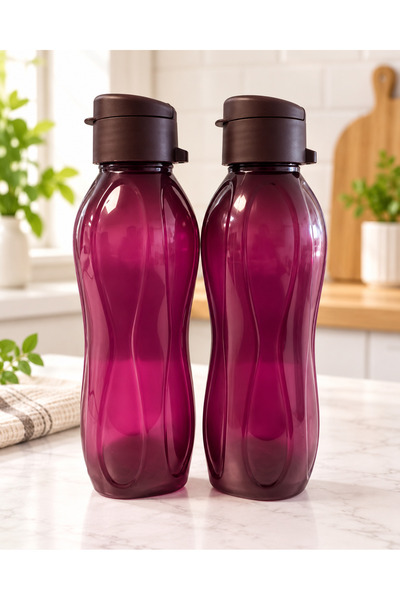 2-Pack Eco Bottle Water Bottle - Practical Lid Flask 2X 750 ml (Purple)