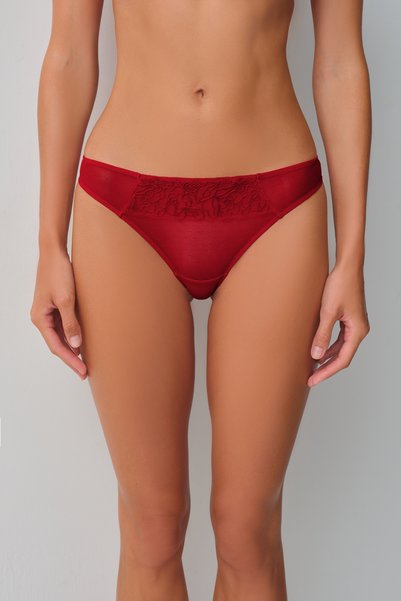 Helena Dantelli Brazilian Briefs