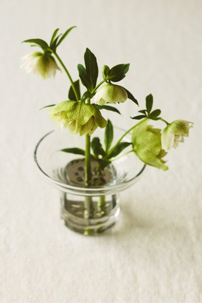 Small Glass Ikebana Vase
