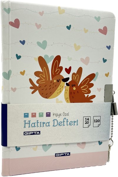 Locked Keepsake and Diary Notebook Unlined 2023 Model 14x20 120yp