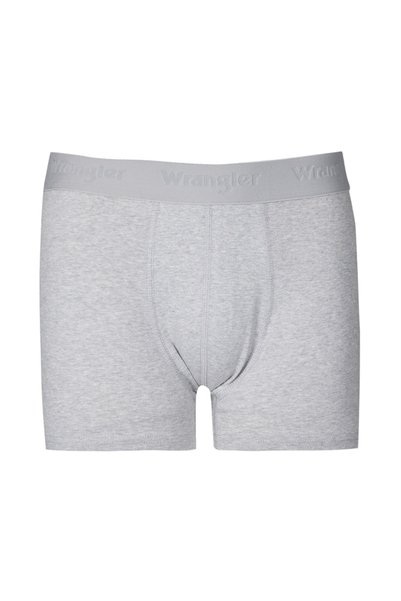 Regular Fit Regular Cut Gray Single Boxer