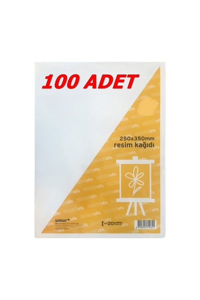 25X35 cm Picture Paper 100 Pieces 120 Gr