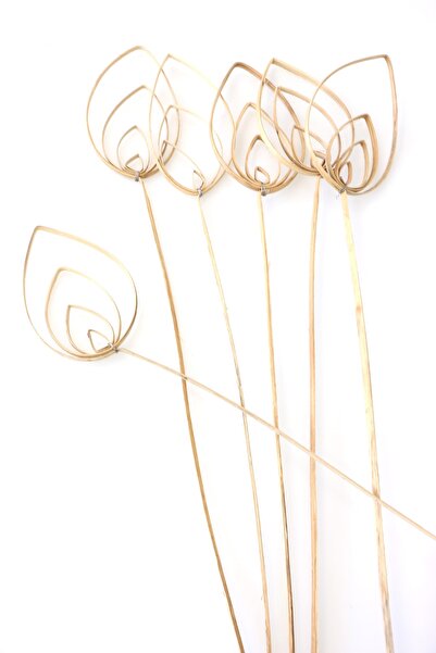 6 парчиња Cane Pradeep 60 cm