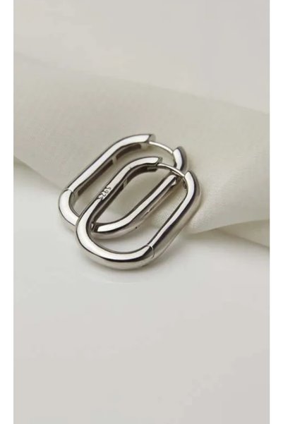 Women's Silver Steel Earrings