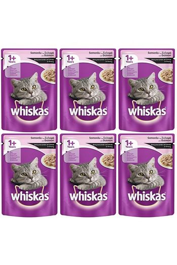 Whiskas Adult Somonlu Yas Kedi Mamasi 100 Gr X 6 Adet Trendyol