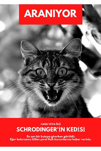 Artimed Schrodinger In Kedisi Posteri 33x48 Cm Trendyol