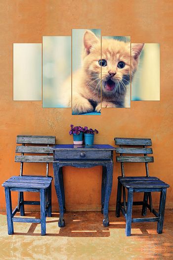 Luna Concept Yavru Kedi 5 Parcali Mdf Tablo Trendyol