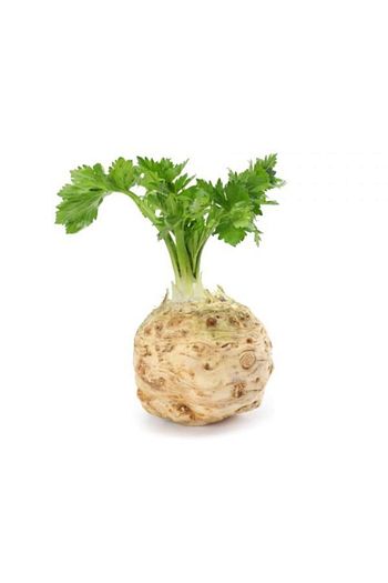 evinizegetirelim kok kereviz fiyati