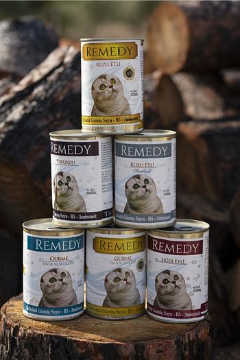 Remedy 24 Lu Kuzu Etli Kiyilmis Gumus Suyu Ilaveli Yetiskin Kedi Konservesi 24x415 Gr Trendyol