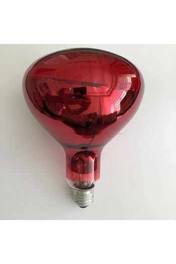 Efe Kulucka Infrared 250 Watt Isitici Lamba Trendyol