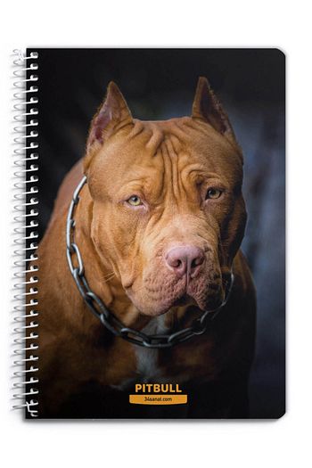 34sanat pitbull spiralli defter