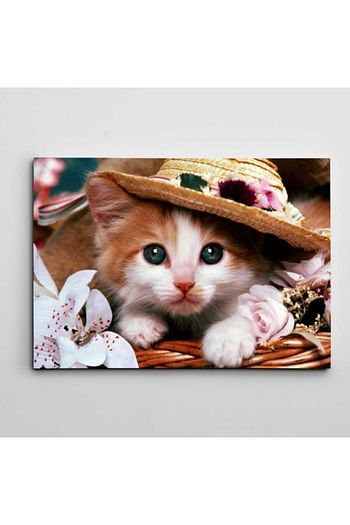 Dekolata Sevimli Yavru Kedi Kanvas Tablo 60 X 85 Cm Trendyol