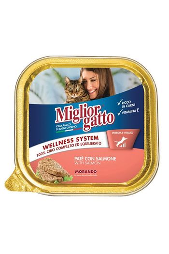 somonlu kedi konservesi 100 gr