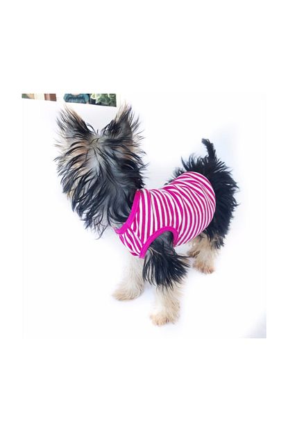 Kemique Pink Stripes Atlet Kopek Kiyafeti Kopek Elbisesi Trendyol