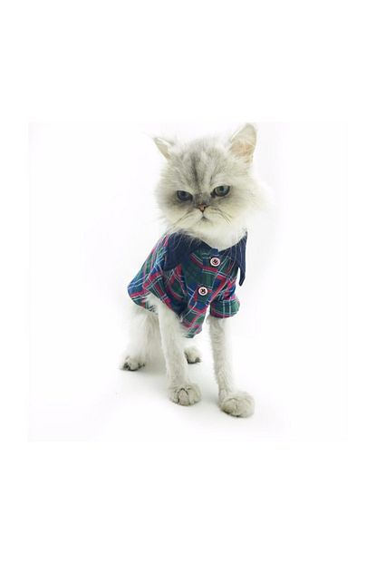 Kemique Iskoc Polo Yaka Tisort Kedi Kiyafeti Kedi Elbisesi 2xlarge 5 5 7 Kg Trendyol