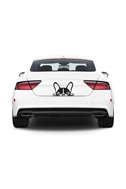 Tsc Kopek Araba Stickeri Vinil Sticker Trendyol