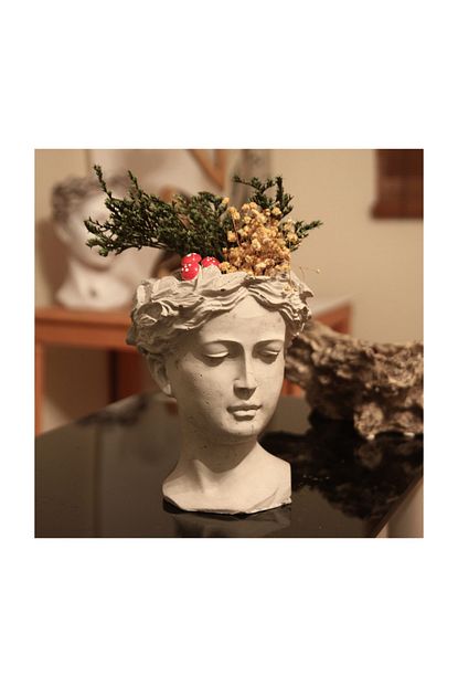 Urun Adasi Helen Artemis Bust Beton Saksi Bitkisizdir Trendyol