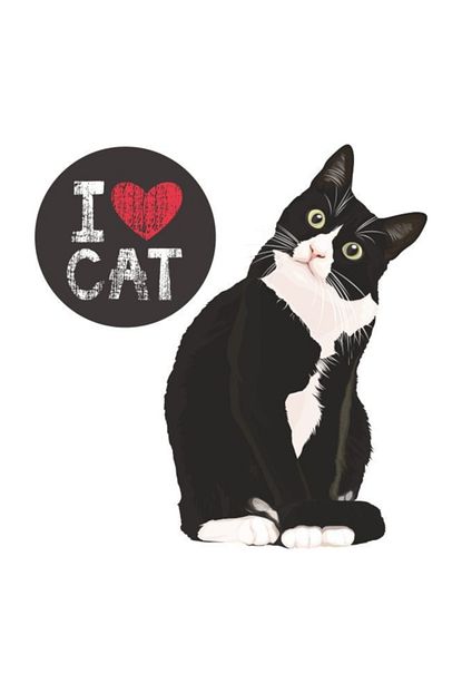 Sticker Fabrikasi I Love Cat Kedi Sticker 16x16 Cm 00253 Trendyol
