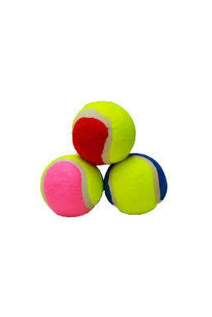 petzoom tenis topu kopek oyuncagi 3 adet