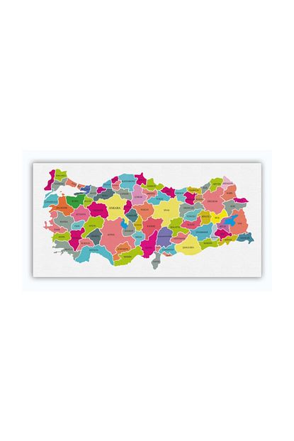 harita sepeti kanvas renkli turkiye