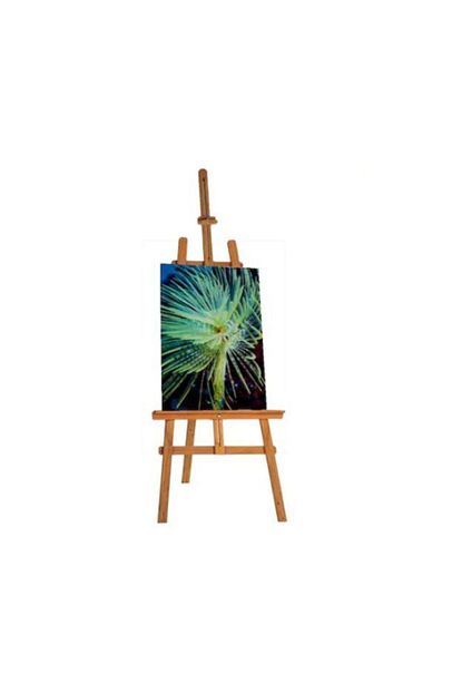 Sardici Tuval 50x70 Cm Ogrenci Tipi Resim Tuvali Trendyol